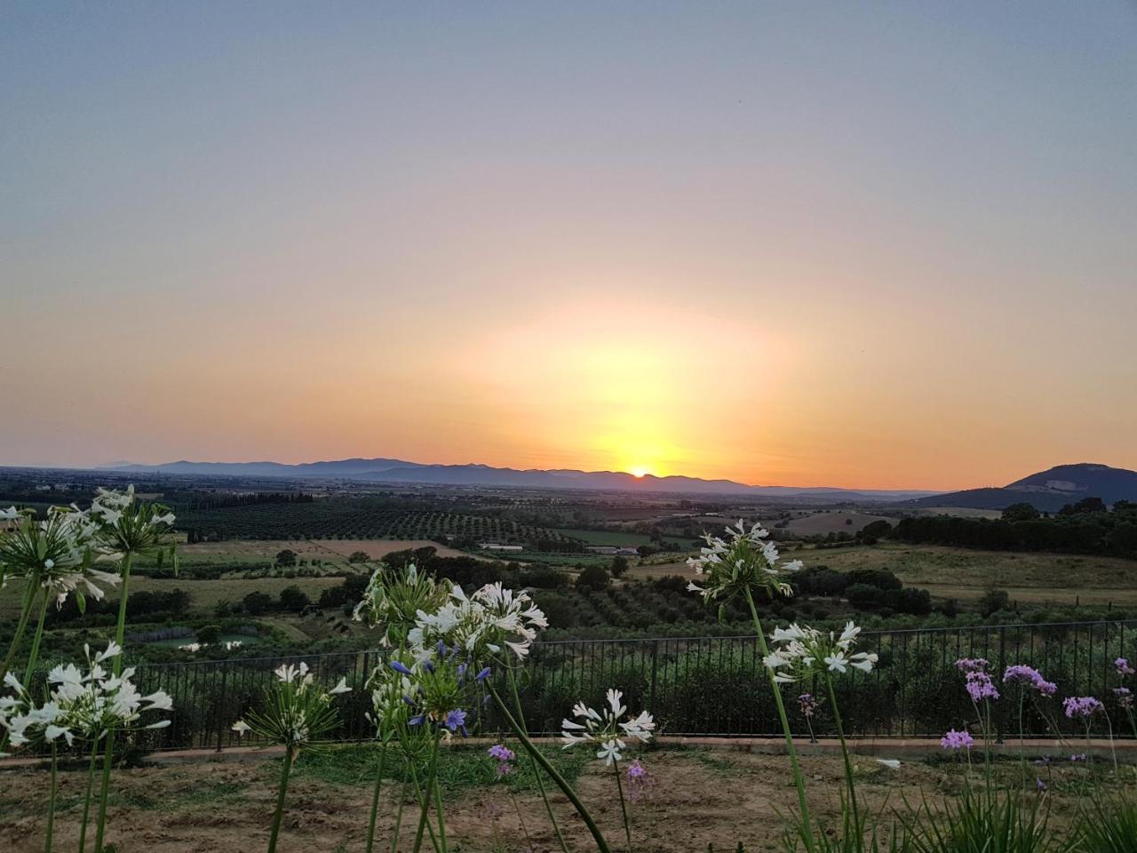 Agriturismo La Fonte Grosseto Extérieur photo